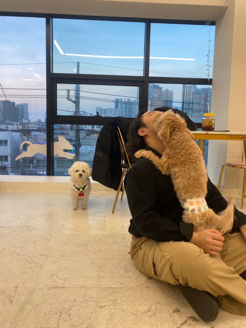 사진 7