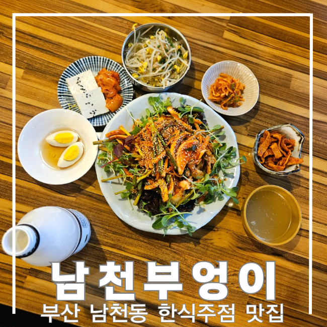 남천부엉이 사진 1