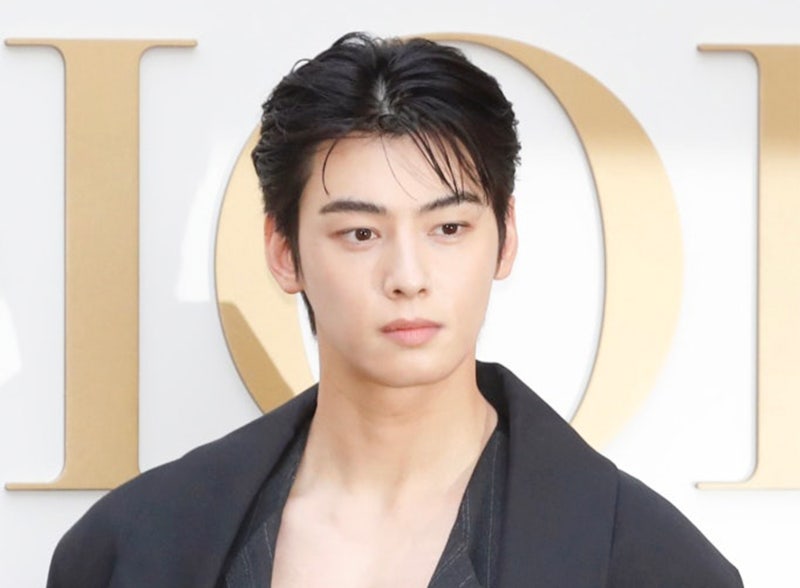 Cha Eun-woo's Saju: Is the 20 Billion Won Tax Evasion Allegation the Secret to His Popularity?