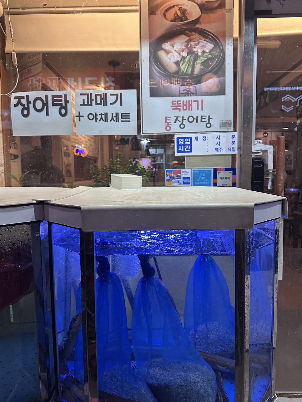 포항물회 사진 2