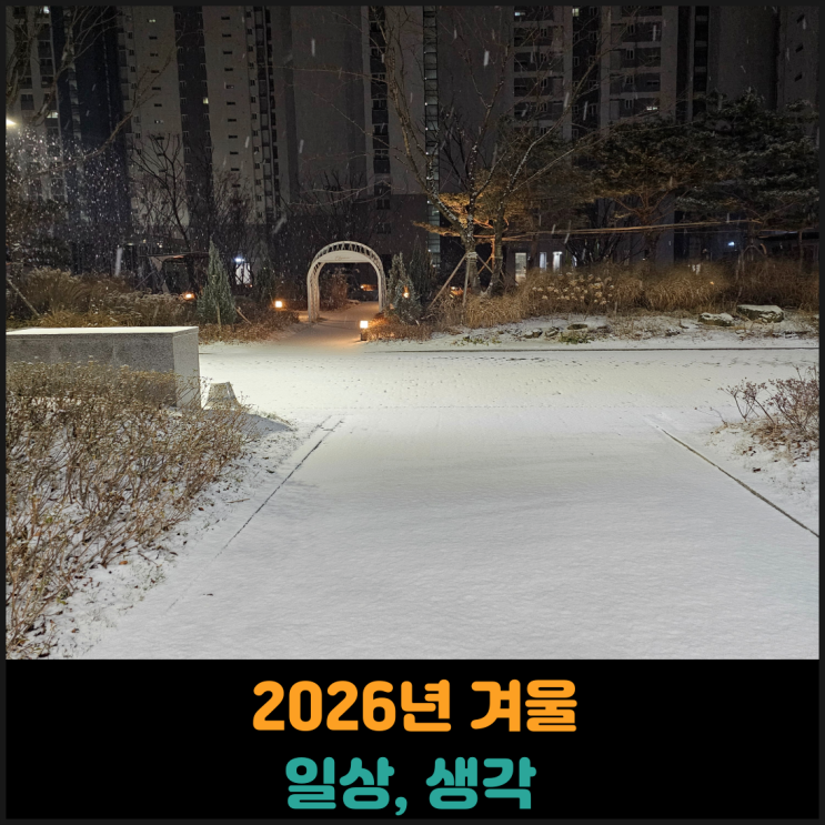  2026년 겨울 일상, 생각