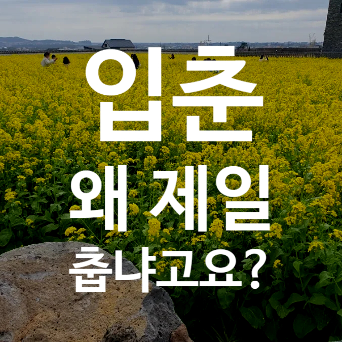  “2026 입춘 날짜 꽃샘추위 차이