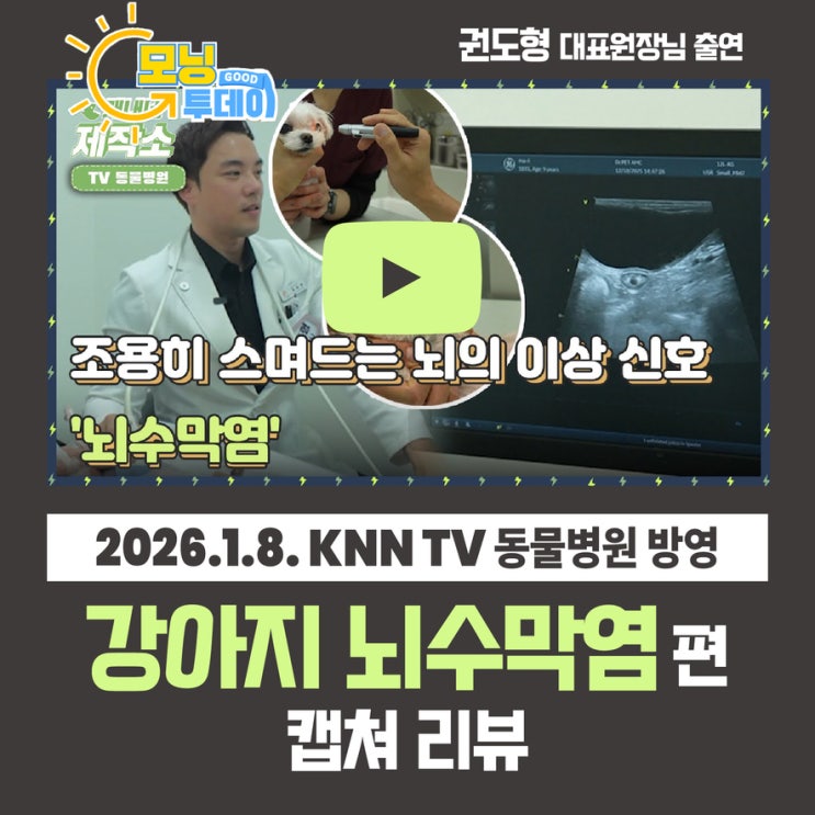  권도형 대표원장 KNN TV동물병원 출연 조용히 스며드는 뇌의 이상 신호 강아지 뇌수막염 캡쳐 리뷰 부산 개금 닥터펫