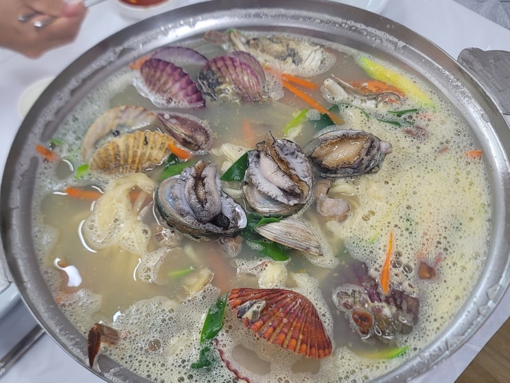 충남 태안 정아횟집 완전 정복 해산물 맛집 솔직 후기 - 전복 회부터 해물칼국수까지 총정리