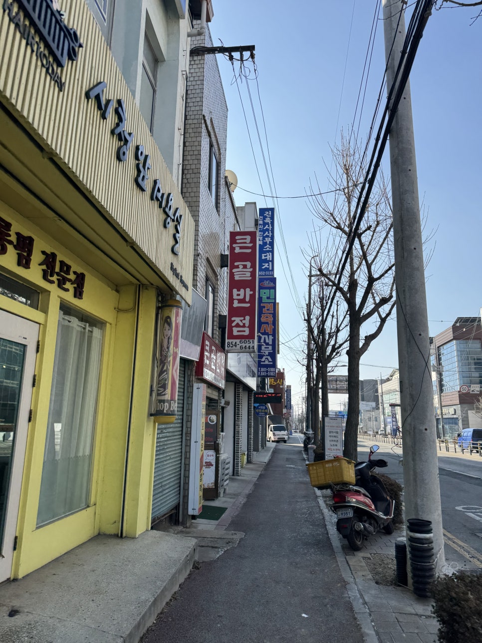 큰골반점 사진 2