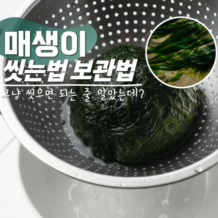  매생이 씻는법 보관법 영양성분 세척