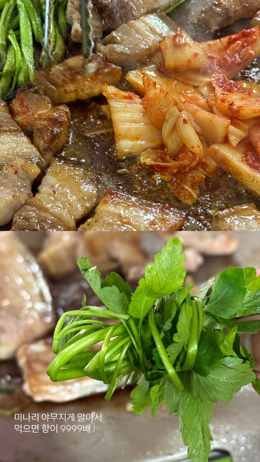 포미팜 사진 1