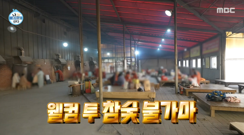 기안84 찜질방 어디?운배마루 황토참숯가마 위치 · 요금 · 영업시간 · 식사까지 총정리