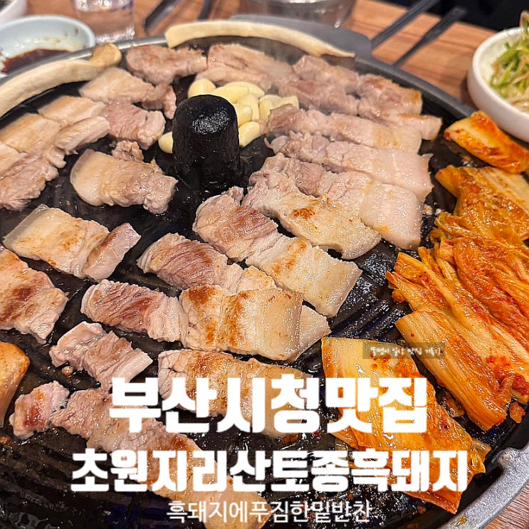  부산시청 맛집 초원지리산토종흑돼지 밑반찬 푸짐한 흑돼지구이 고기집