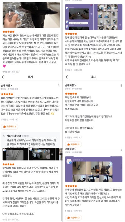 순애하멍 펫시터