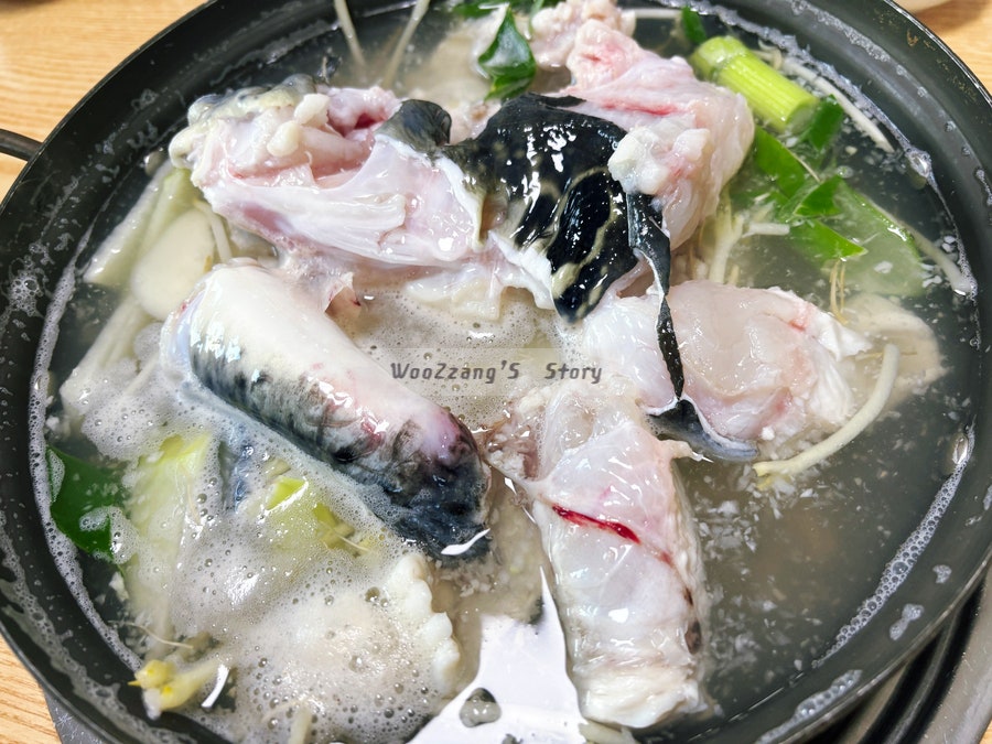 현대복어 사진 3
