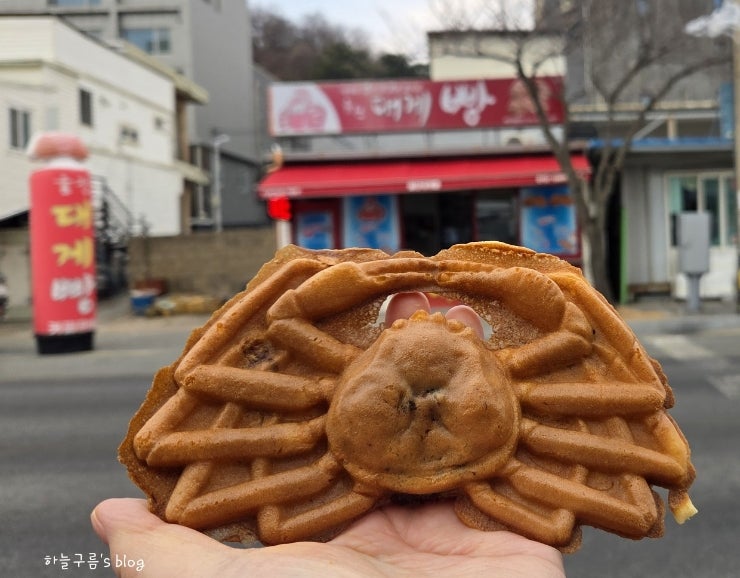 울진여행, 덕구온천 옹심이칼국수 · 후포리 삼일식당 · 울진대게빵 솔직 후기