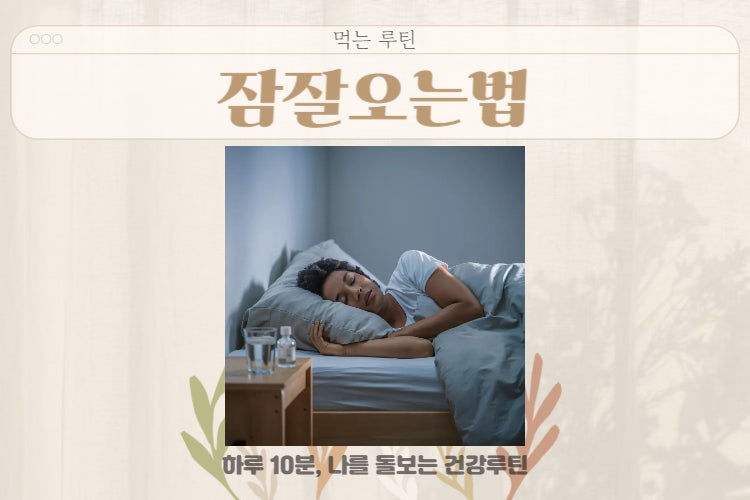 수면영양제 불면증영양제 선택 기준, 잠잘오는법부터 굿나잇환까지 정리