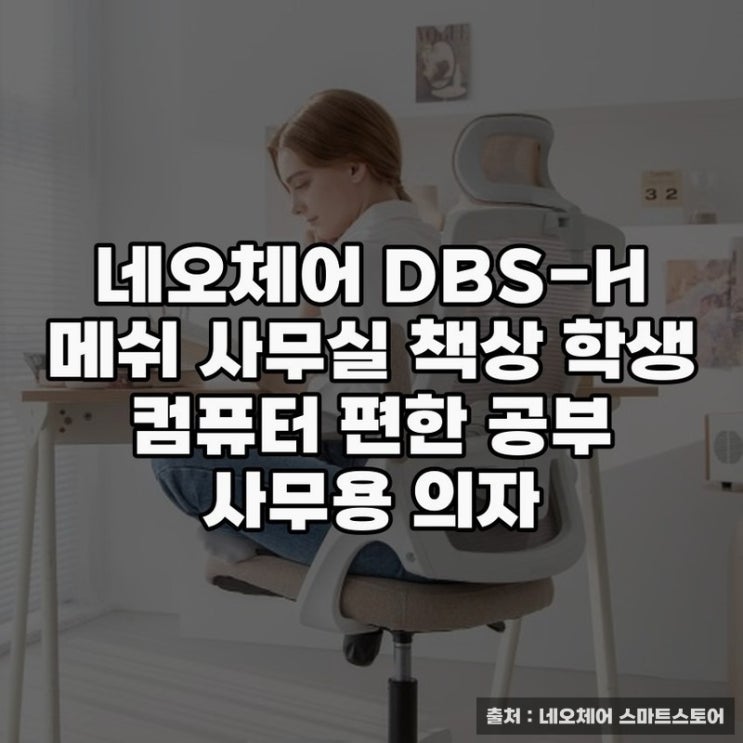  네오체어 DBS-H 허리편한 사무용 의자 추천