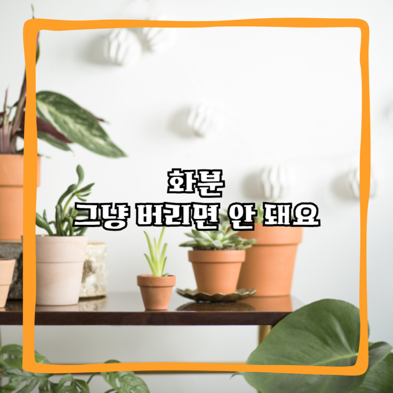 화분 버리는 방법 플라스틱, 도자기, 유리 화분버리기 정리