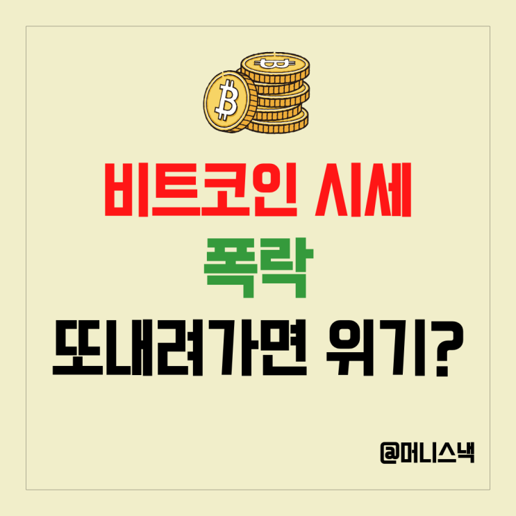 빅쇼트 마이클 버리! 비트코인 시세 더하락 하면 금융 대재앙? 전망은?