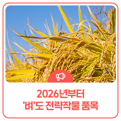 농업인 필독, 수급조절용 벼 전략작물직불금 제도 한눈에 정리