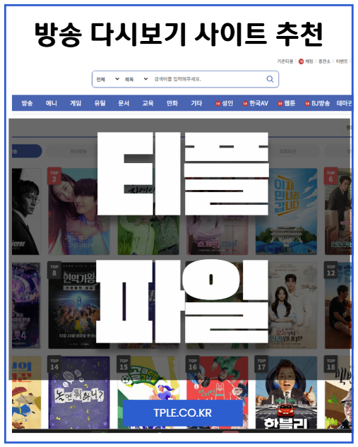  드라마 다시보기 사이트 비교, 티플이 유리한 포인트 정리