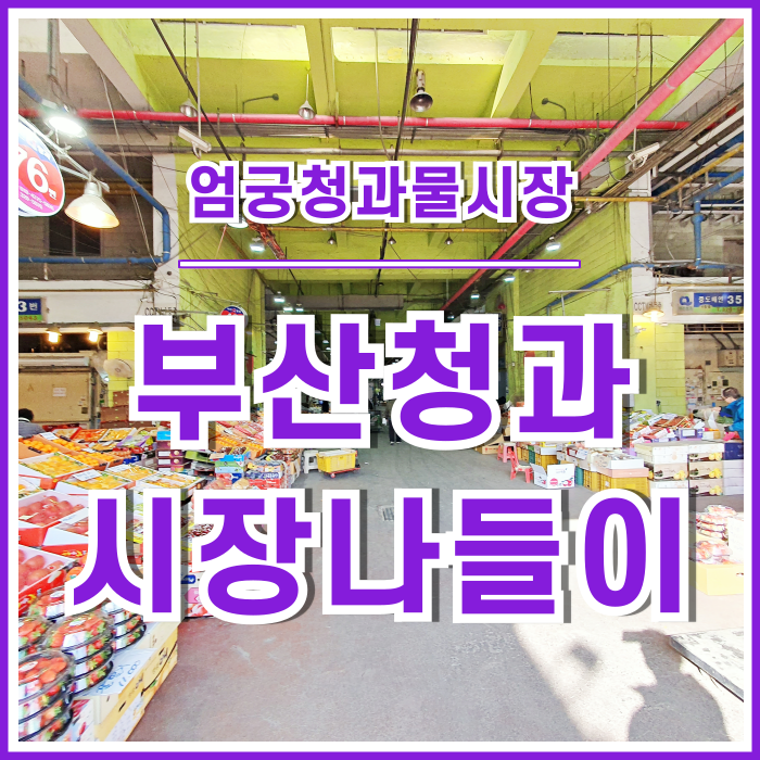  [일상] 엄궁청과물시장 부산청과 다녀온 후기