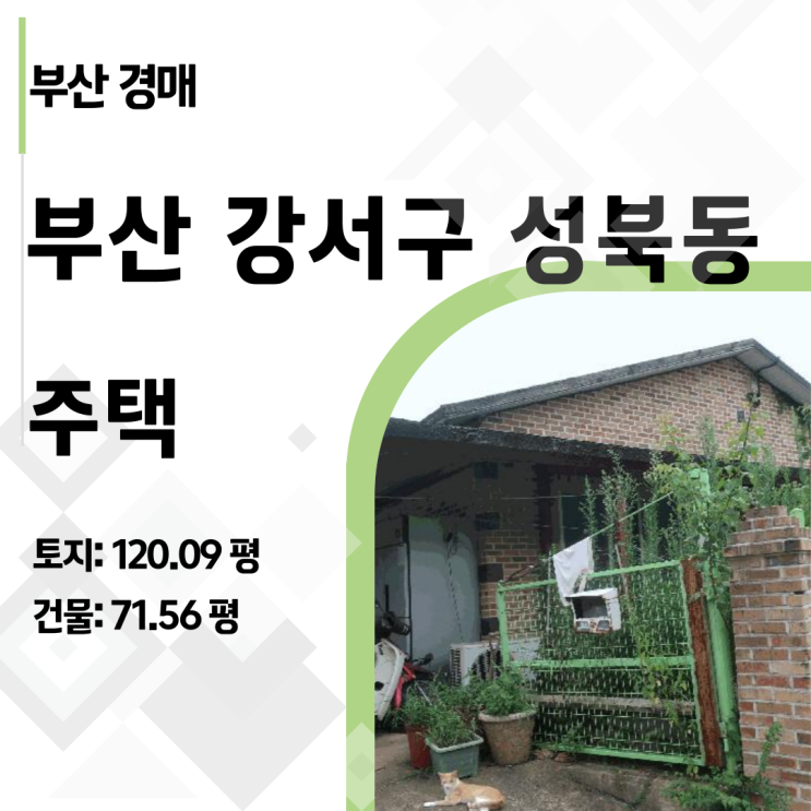  가덕도 개발 1순위 수혜지! 성북동 주택 경매 권리분석 및 시세 리포트