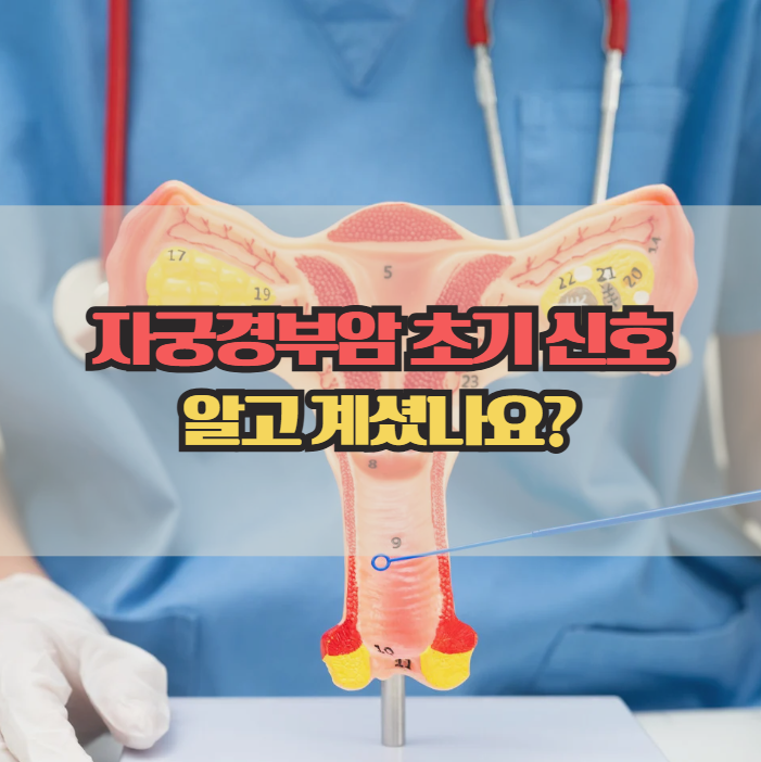  자궁경부암 증상과 원인, 꼭 알아야 할 초기 신호