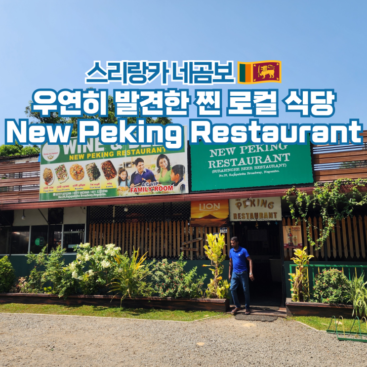  스리랑카 여행 네곰보 현지 식당 로컬 맛집 추천