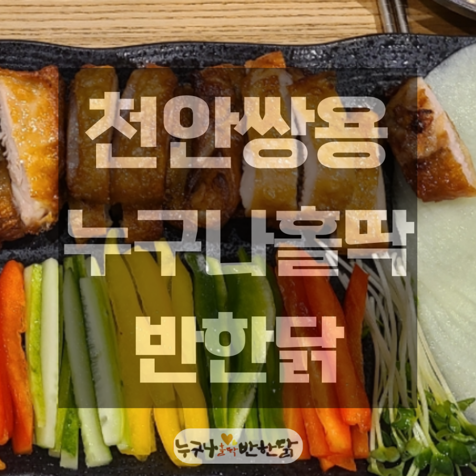 쌈닭 사진 1