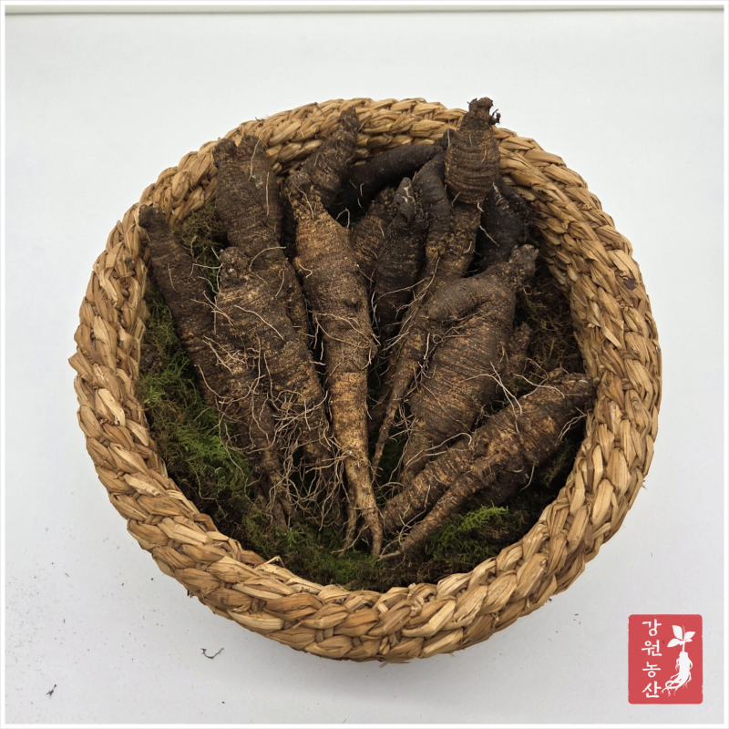 강원도 자연산 더덕, 야생 더덕 효능 1kg 가격