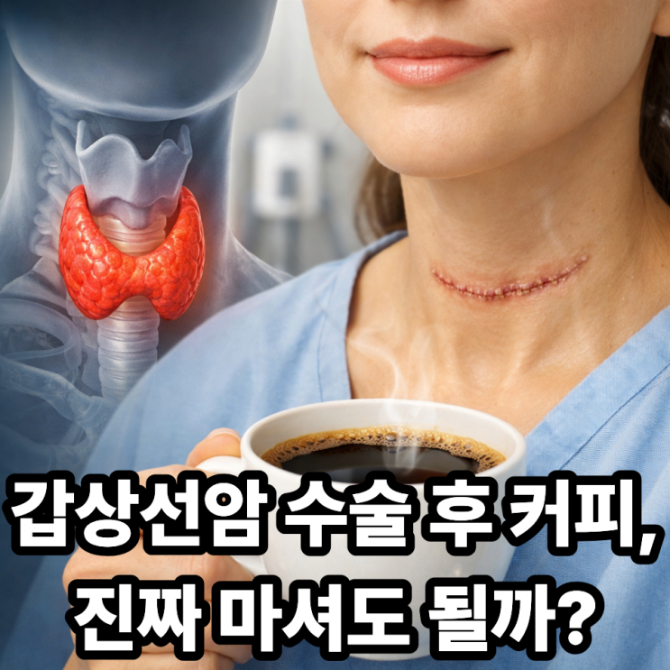  갑상선암 수술 후 커피 마셔도 될까?｜카페인 섭취 기준과 주의사항 정리