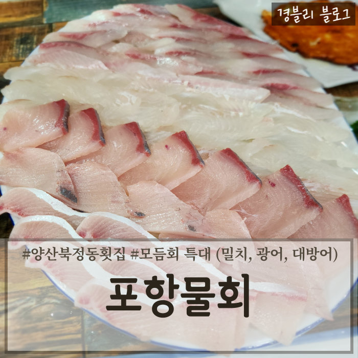  양산북정동맛집 스끼다시 푸짐한 북정횟집 양산현지인맛집 '포항물회'