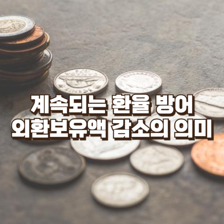  계속되는 환율 방어…외환보유액 감소가 의미하는 것