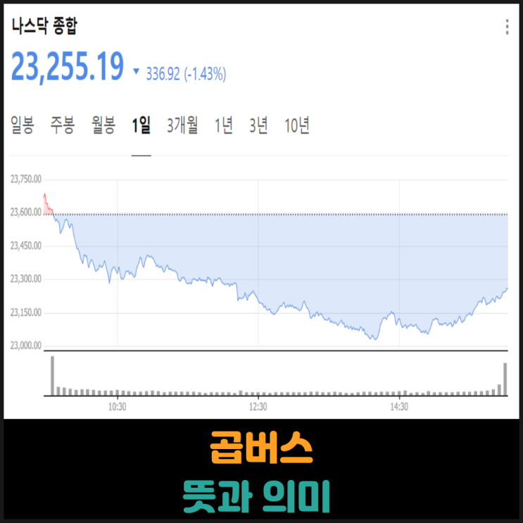  곱버스 뜻과 의미