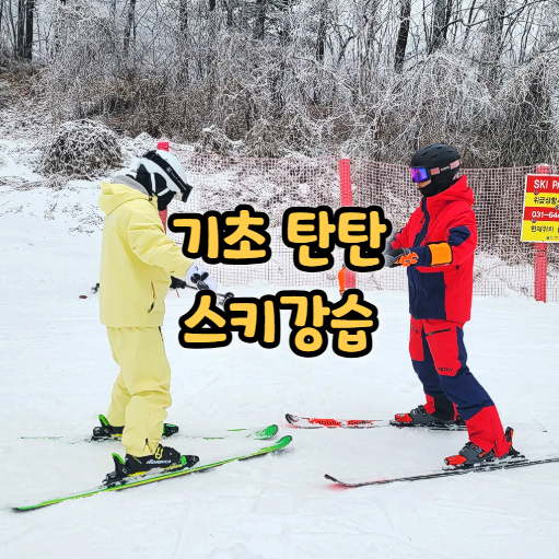  지산 스키강습 탄탄하게 레슨받은 후기