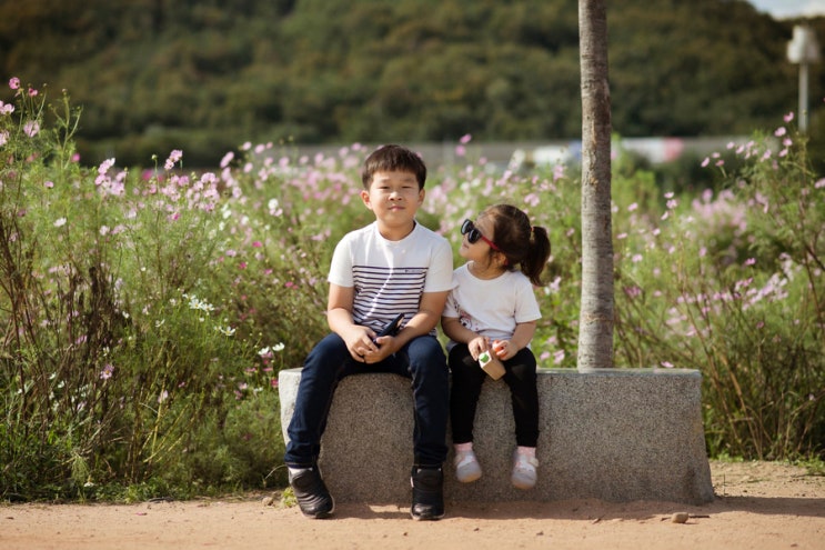  금호강 하중도｜대구 근교 가을 나들이 갈만한 곳, 코스모스 꽃밭에서 남긴 기록