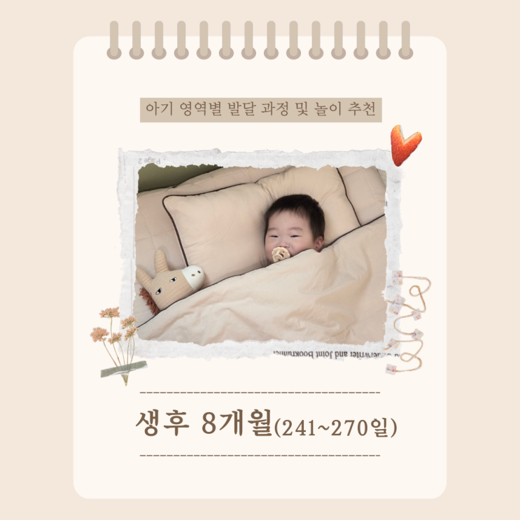  생후 8개월 아기 영역별 발달 과정 및 특징, 추천 놀이 활동