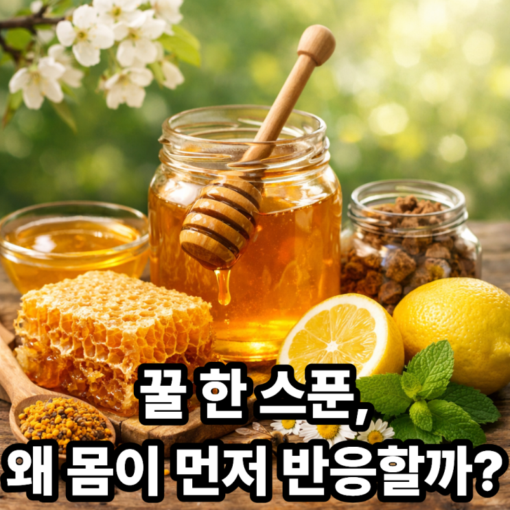  꿀이 건강식품으로 불리는 이유, 매일 한 스푼의 힘