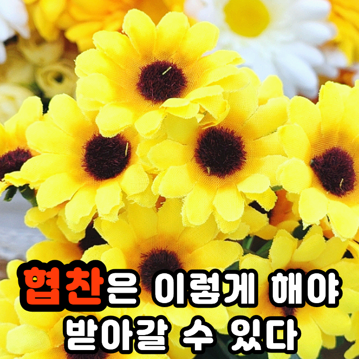  다이소 조화로 제품촬영 스튜디오 만들기 리빙블로그 필수템