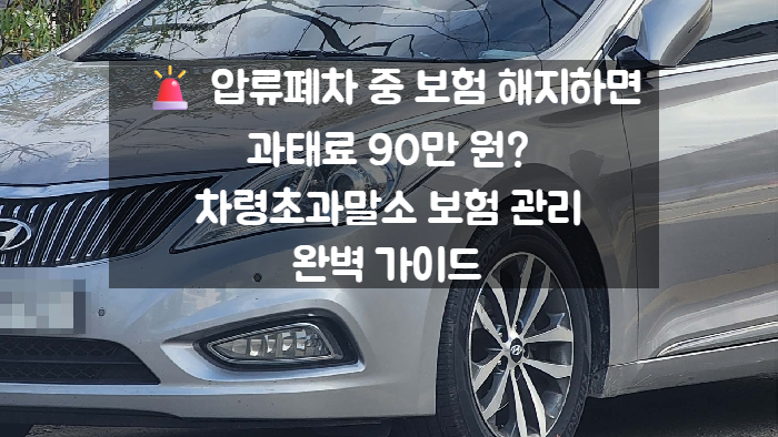   압류폐차 중 보험 해지하면 과태료 90만 원? 차령초과말소 보험 관리 완벽 가이드 (보험료 아끼는 꿀팁)