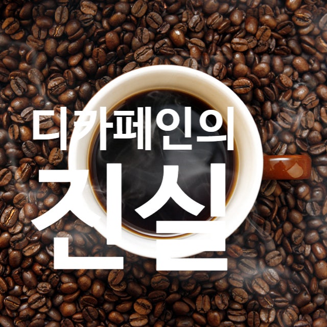  탄현동 헬스장 디카페인/무카페인 다르다고?