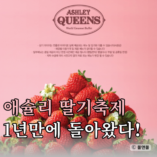  애슐리퀸즈 딸기축제 2026 일정기간·가격·신메뉴 정리와 방문 꿀팁 후기