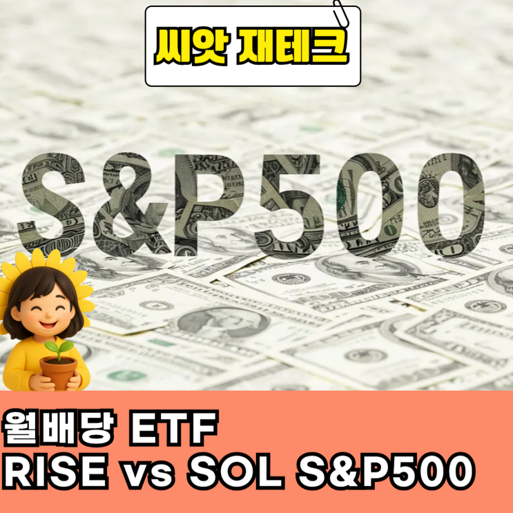  RISE 미국S&P500(H) vs SOL 미국S&P500 같은지수 다른 전략