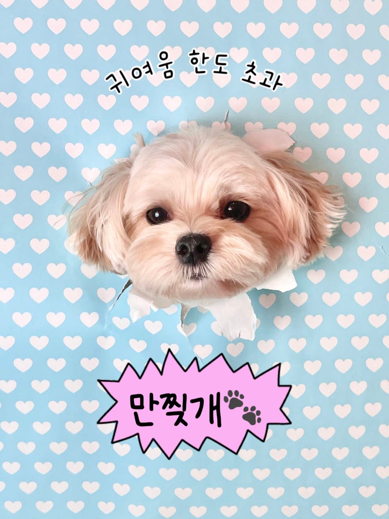 사진 4