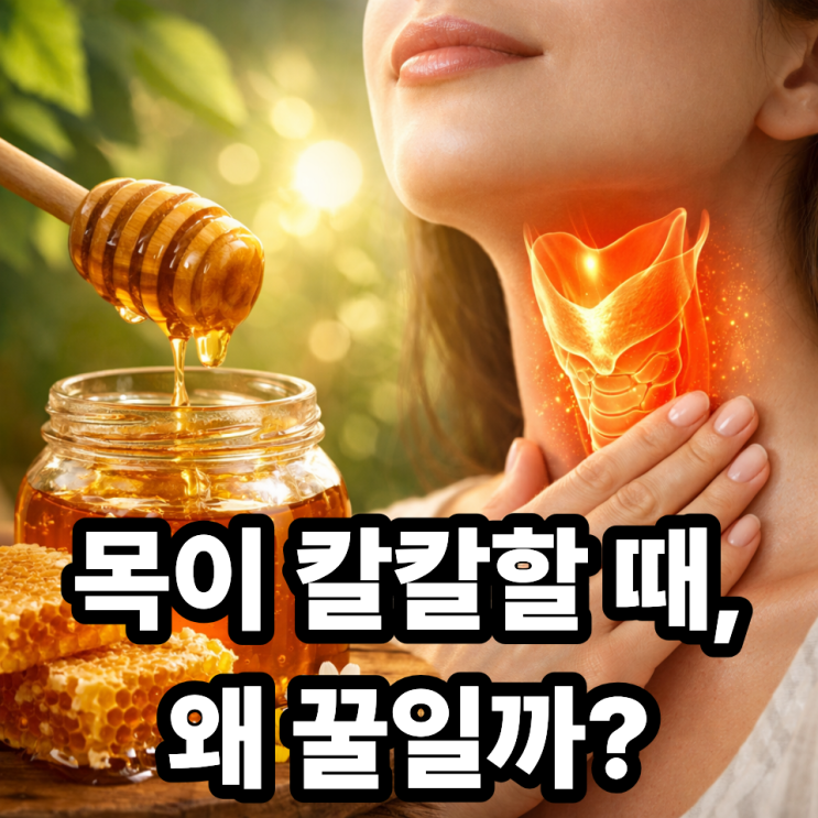  꿀이 목 건강에 좋은 이유, 기침·목 따가움에 효과적인 이유