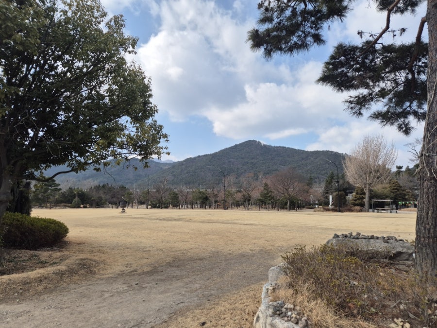 두구동시래기 두구점 사진 3