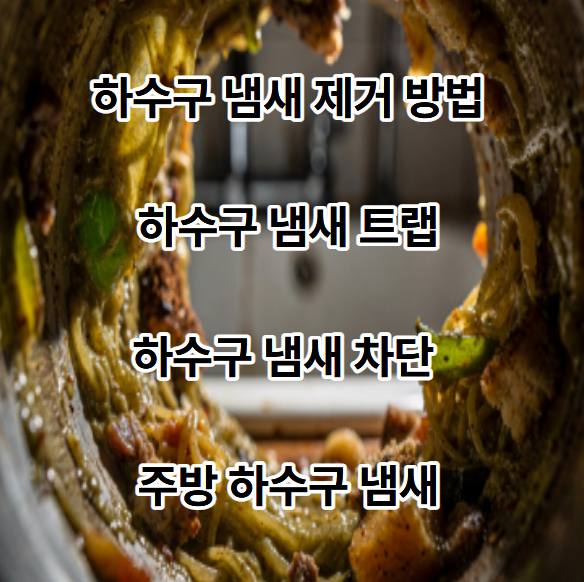  하수구 냄새 제거 방법 하수구 냄새 트랩 하수구 냄새 차단 주방 하수구 냄새