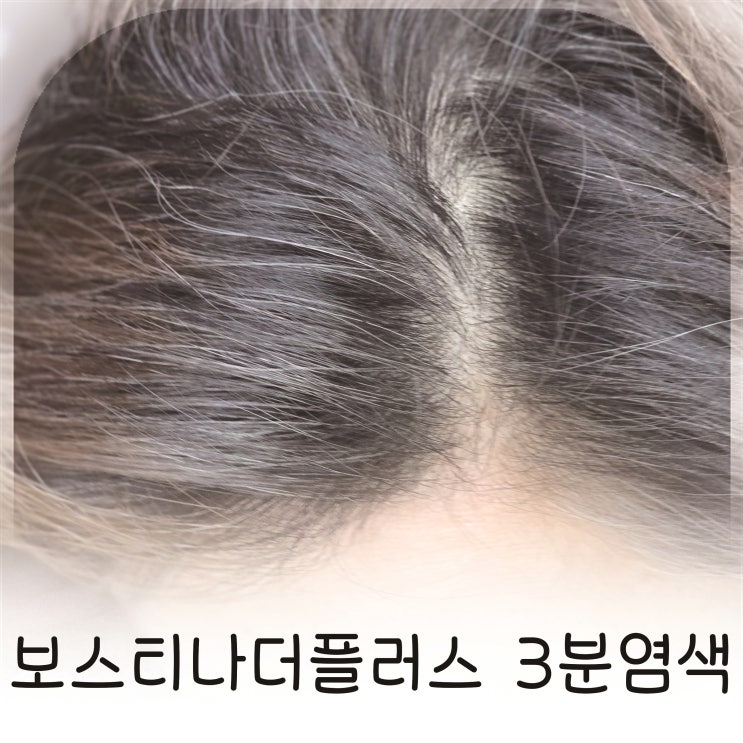  보스티나더플러스 3분염색으로 친정엄마 앞머리 새치 정리