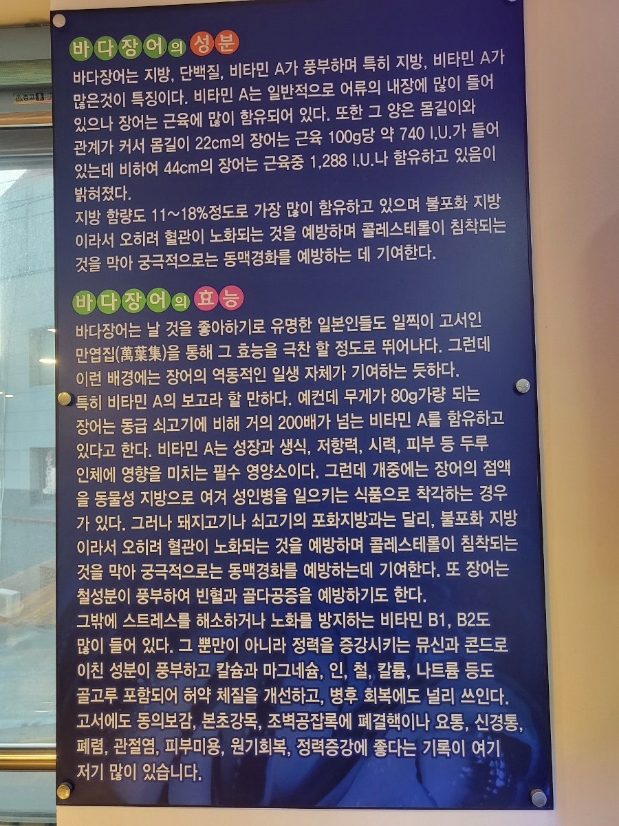 장어이야기 사진 6