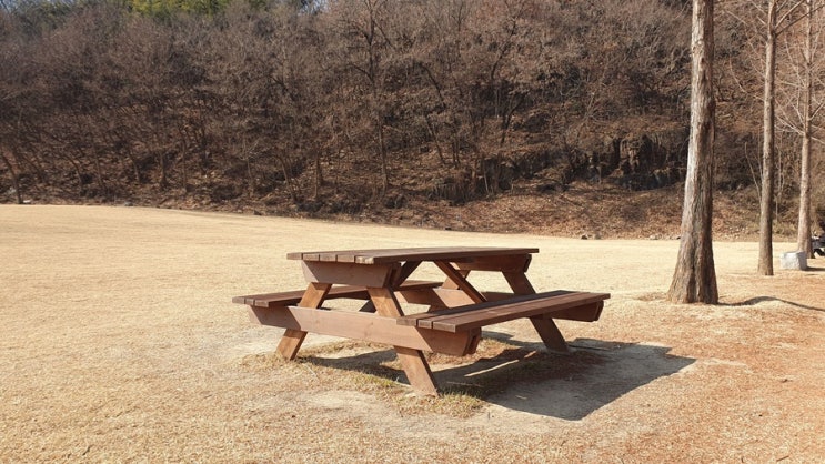  회식 다음날 술 깨는법 현실적인 방법