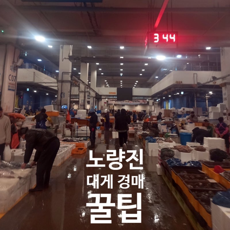 노량진 수산시장 새벽 대게 경매장 / 대게 싸게 사는 방법