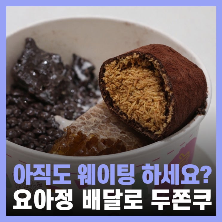  요아정 300g 두쫀쿠 매장 택배 배달 주문